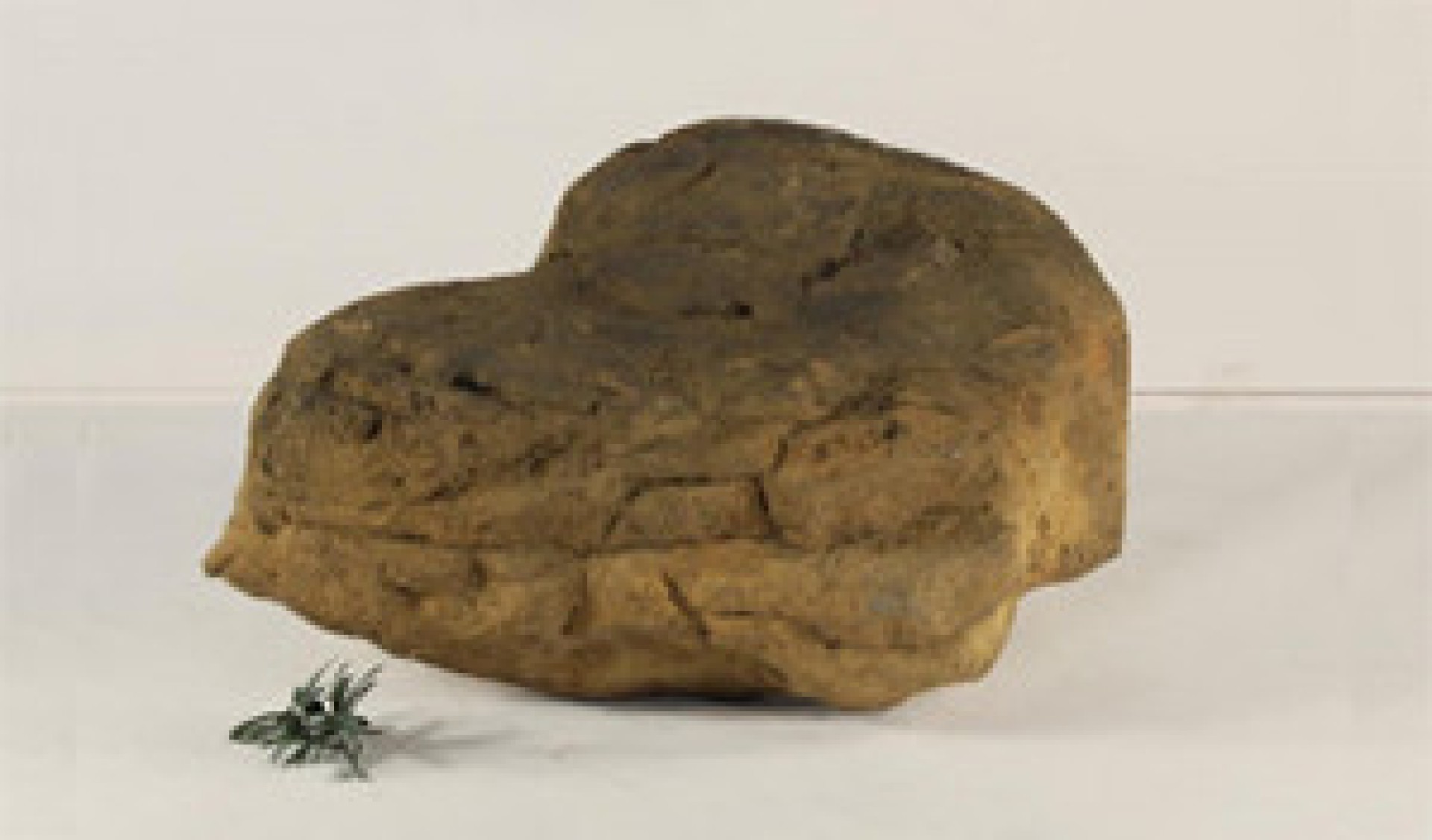 Edge Rocks | Swimming Pool Products | Universal Rocks