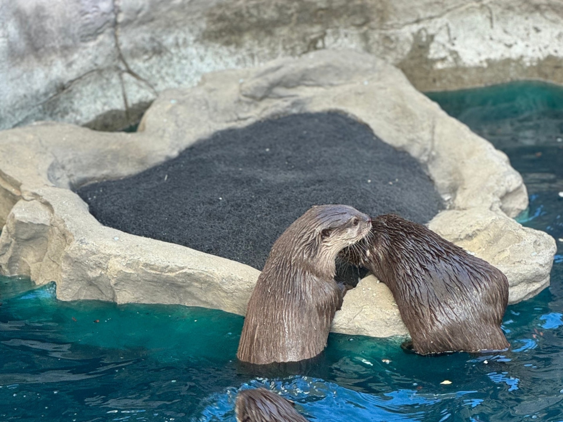 Floating Rocks | Garden & Pond Products | Universal Rocks