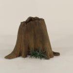 Cypress Stump - 001