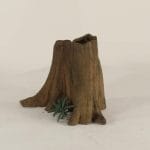 Cypress Stump - 001