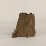 Cypress Stump - 001