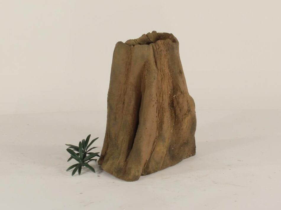 Cypress Stump - 002