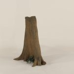 Cypress Stump - 003