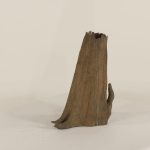 Cypress Stump - 003