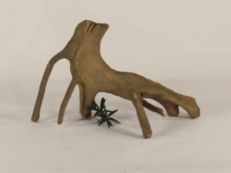 Mangrove Root - 003