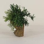 Wall Planter-001