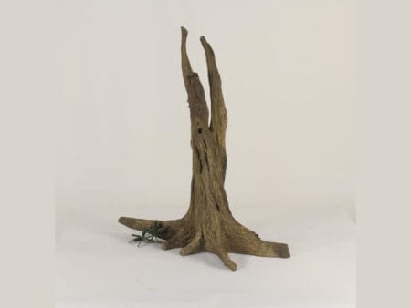 Tree Stump 003