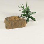 ROCK BOWL - 001