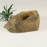 ROCK BOWL - 003