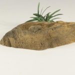 ROCK BOWL - 003