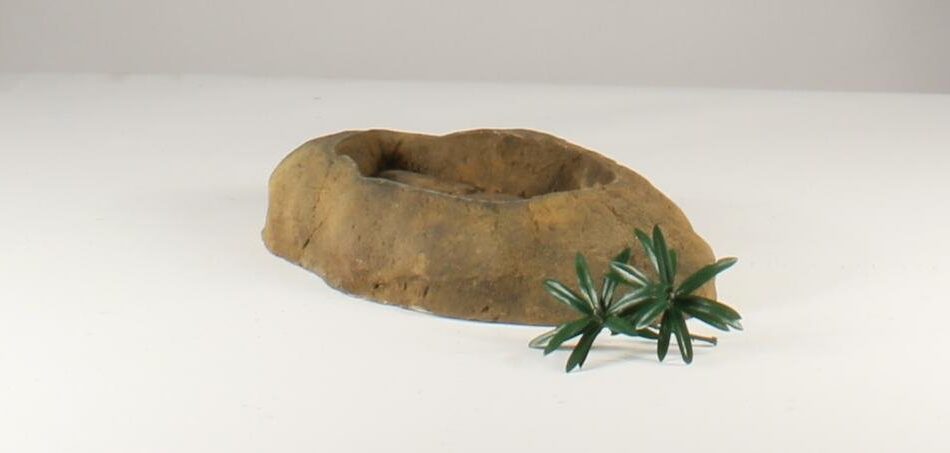 ROCK BOWL - 005