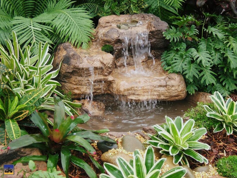 Small Rock Waterfall-008