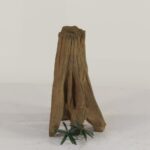 TREE STUMP - 004