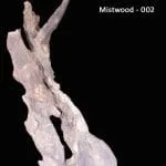 MISTWOOD-002