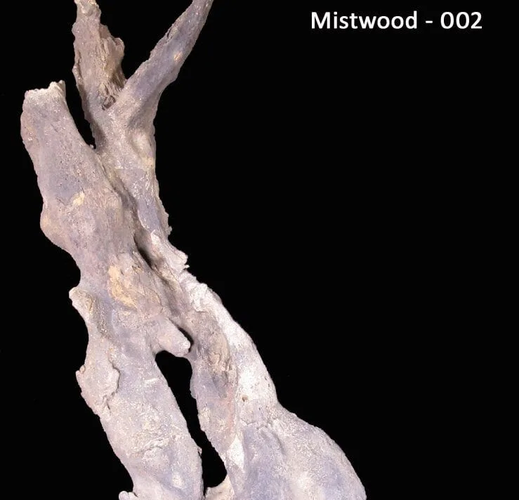 MISTWOOD-002