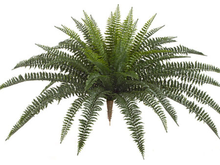 30 INCH OUTDOOR BOSTON FERN