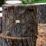 OUTBACK COOLER - TREE EDITION